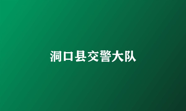 洞口县交警大队