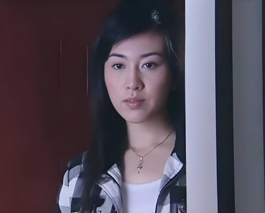 江莹（电视剧《不离不弃》中的角色）