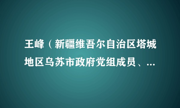 王峰（新疆维吾尔自治区塔城地区乌苏市政府党组成员、政府机关党组书记、办公室主任、外事办公室主任）