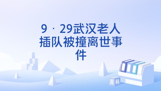 9·29武汉老人插队被撞离世事件
