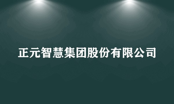 正元智慧集团股份有限公司