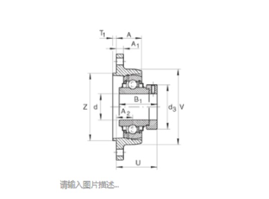 FAG RCJTZ45轴承
