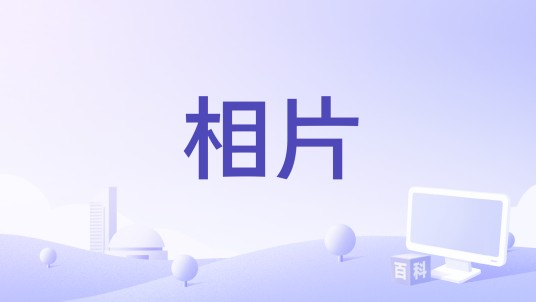 相片（陈子晴演唱的歌曲）
