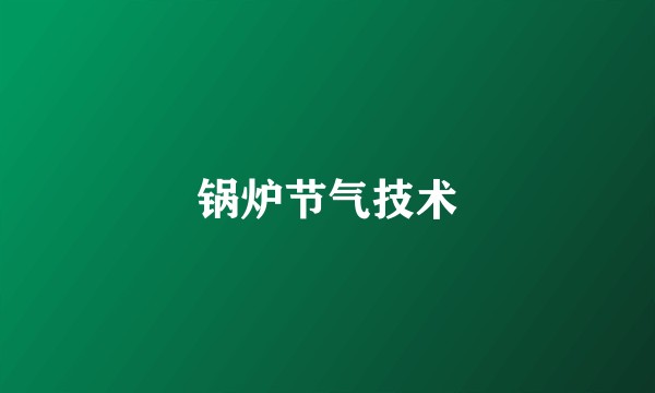锅炉节气技术