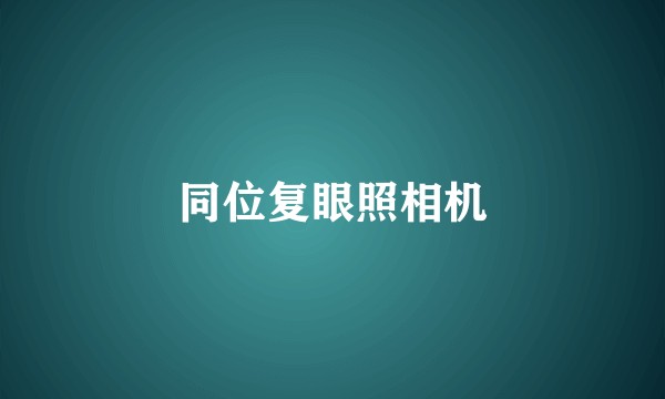 同位复眼照相机
