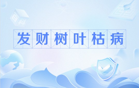 发财树叶枯病