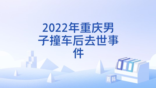2022年重庆男子撞车后去世事件