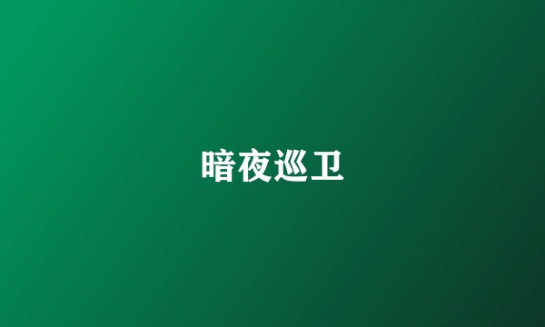 暗夜巡卫