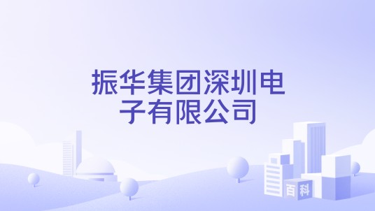 振华集团深圳电子有限公司