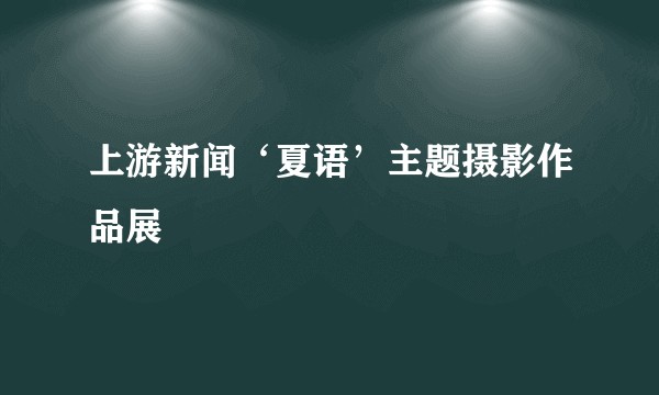 上游新闻‘夏语’主题摄影作品展