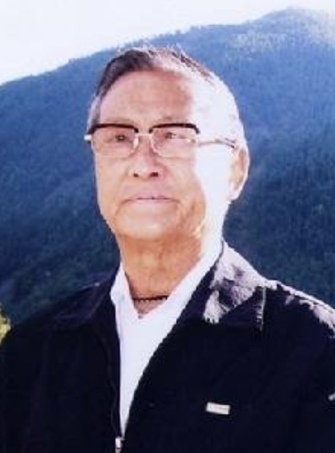 刘北辰(中国昆明工学院教授)