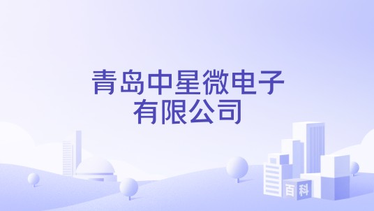 青岛中星微电子有限公司