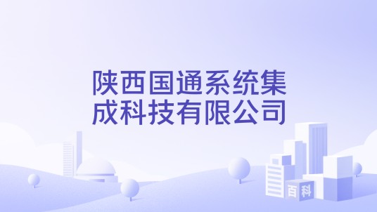 陕西国通系统集成科技有限公司