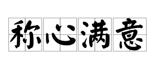 称心满意