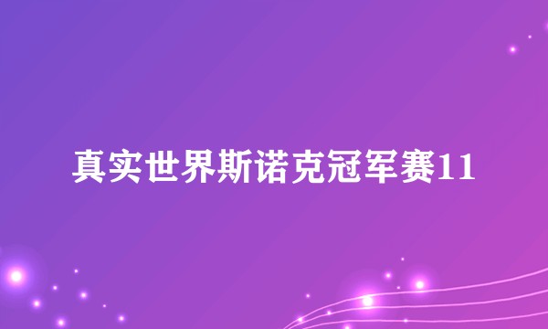 真实世界斯诺克冠军赛11