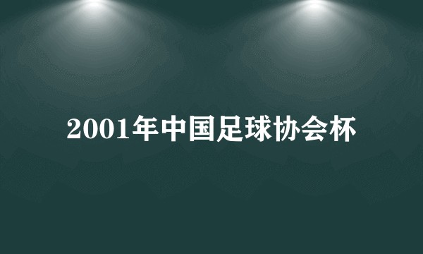 2001年中国足球协会杯