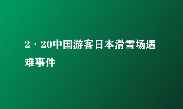 2·20中国游客日本滑雪场遇难事件