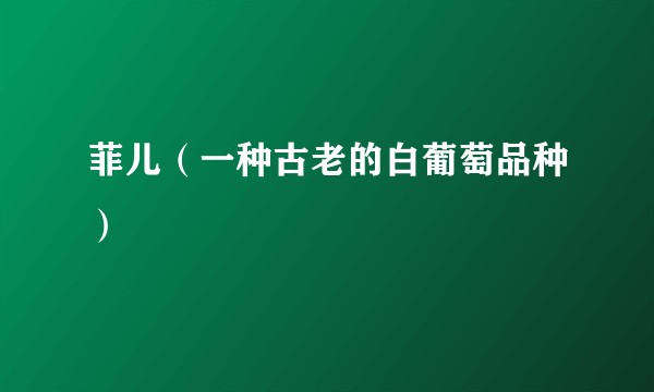 菲儿（一种古老的白葡萄品种）