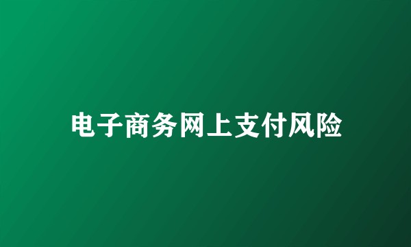 电子商务网上支付风险