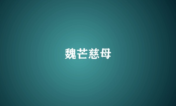 魏芒慈母