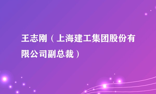 王志刚（上海建工集团股份有限公司副总裁）