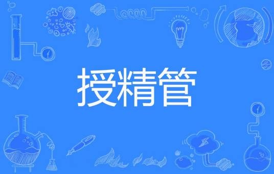 授精管