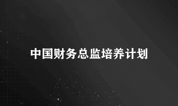中国财务总监培养计划