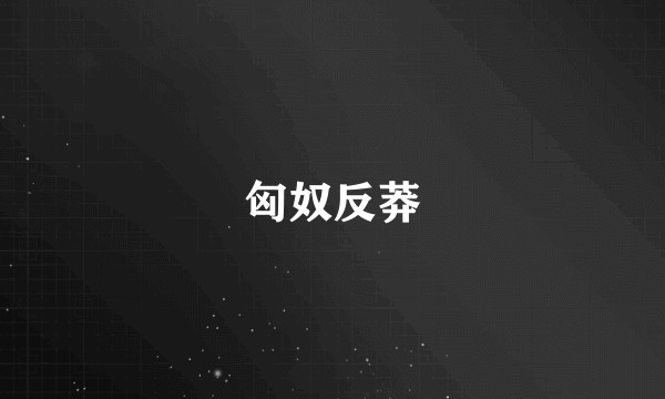 匈奴反莽