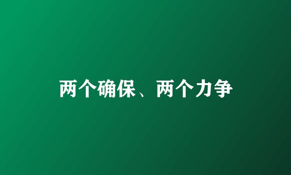 两个确保、两个力争