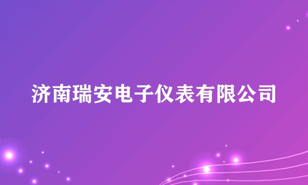 济南瑞安电子仪表有限公司