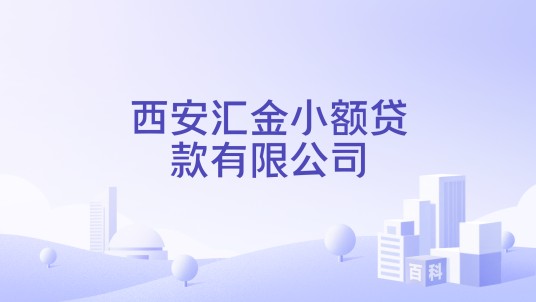 西安汇金小额贷款有限公司