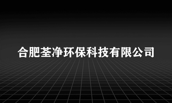合肥荃净环保科技有限公司