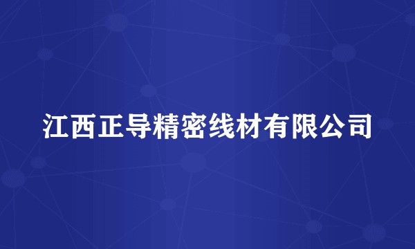 江西正导精密线材有限公司