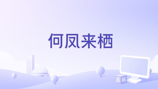 何凤来栖（2010年纪录片）