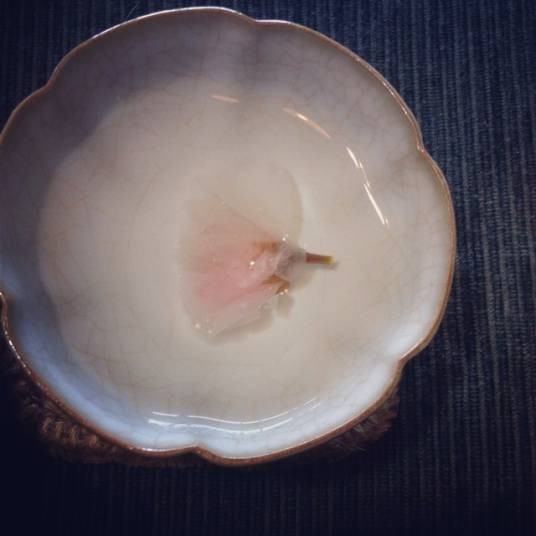 日本盐渍樱花茶