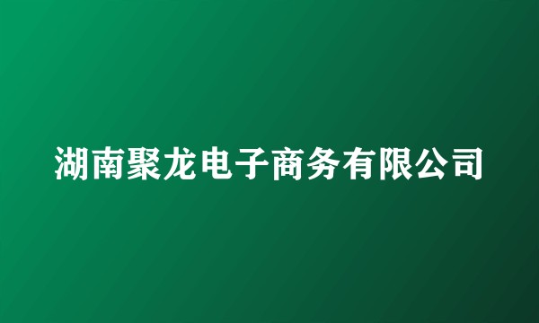 湖南聚龙电子商务有限公司