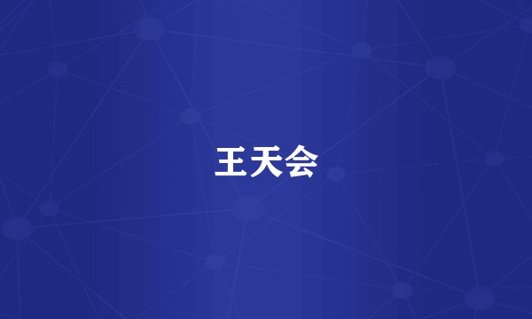 王天会