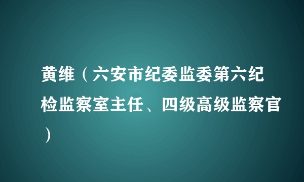 黄维（六安市纪委监委第六纪检监察室主任、四级高级监察官）