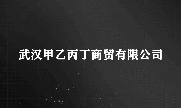 武汉甲乙丙丁商贸有限公司
