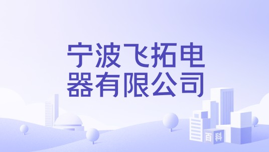 宁波飞拓电器有限公司
