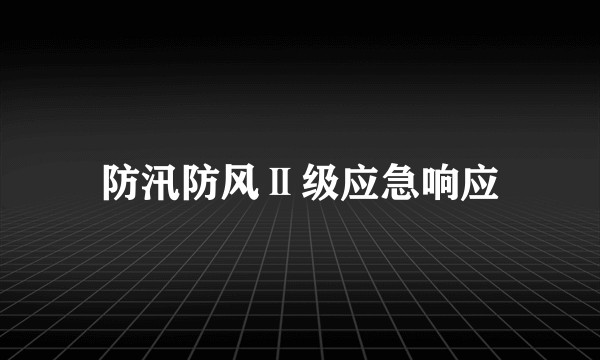 防汛防风Ⅱ级应急响应
