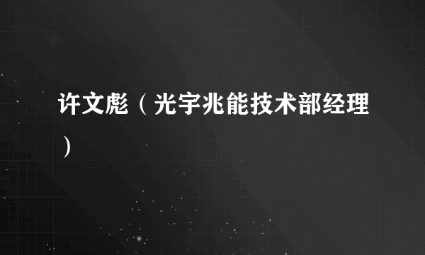 许文彪(光宇兆能技术部经理)