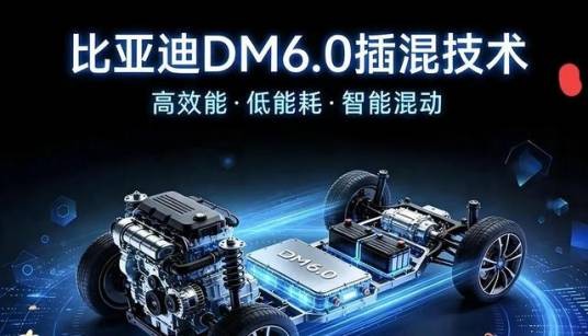 DM6.0