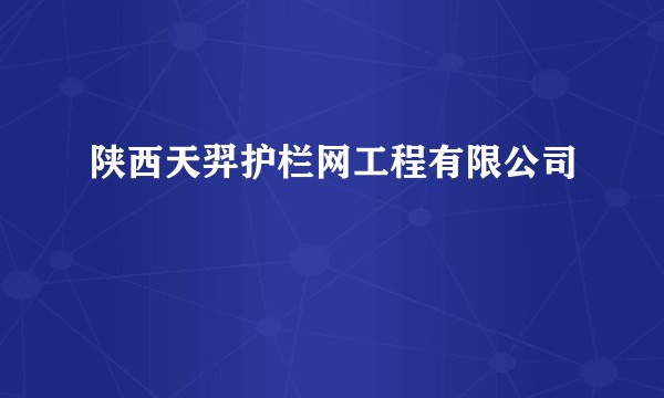 陕西天羿护栏网工程有限公司