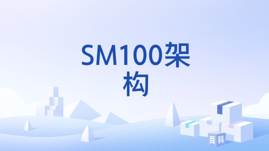SM100架构