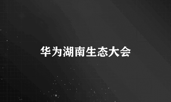 华为湖南生态大会