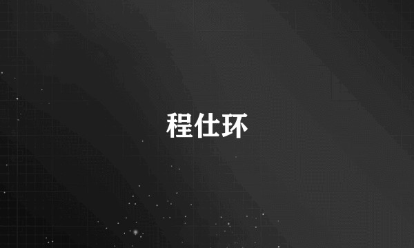 程仕环