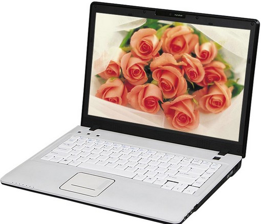 方正 S410IG-460
