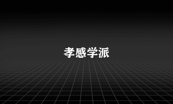 孝感学派