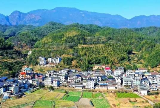 小忠村